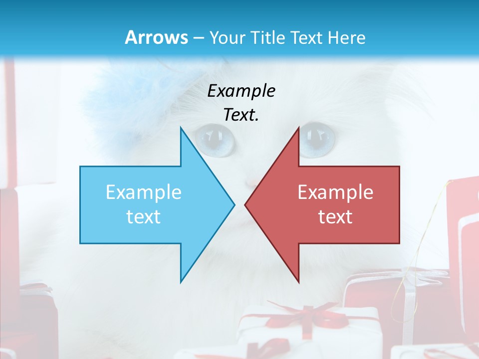 Fun Feline Cat PowerPoint Template