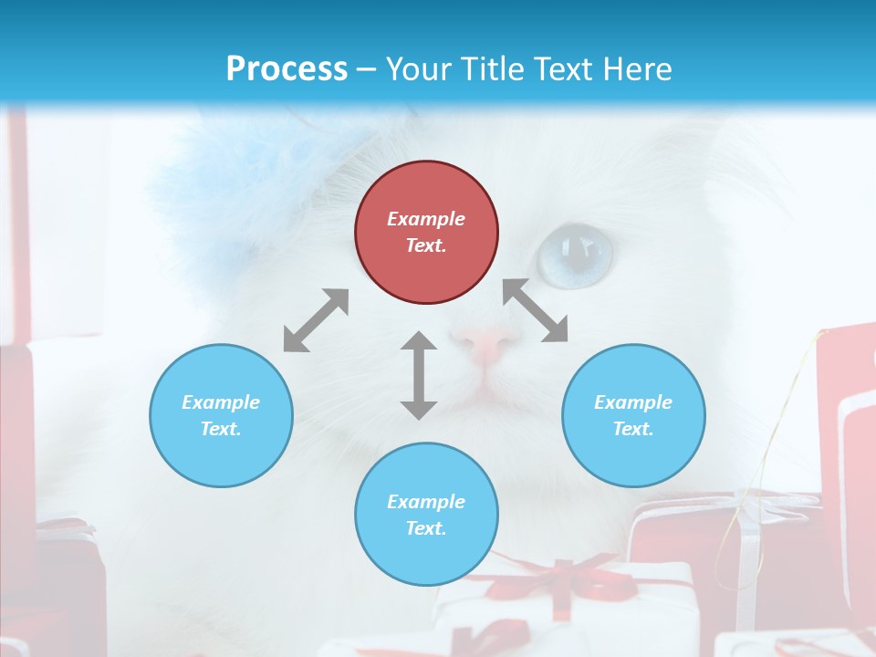 Fun Feline Cat PowerPoint Template