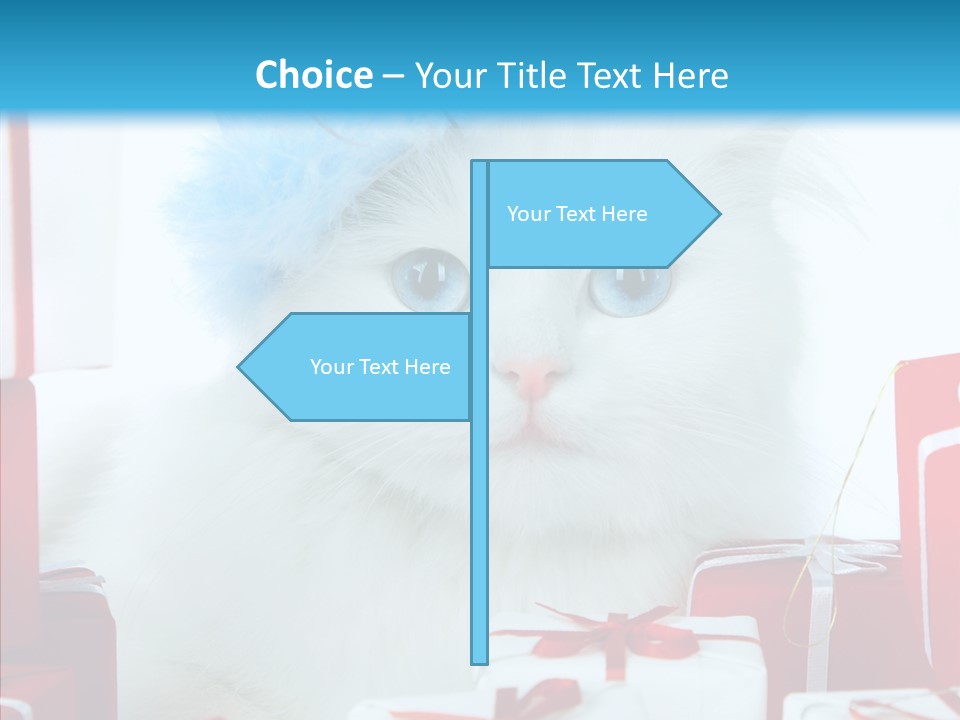 Fun Feline Cat PowerPoint Template