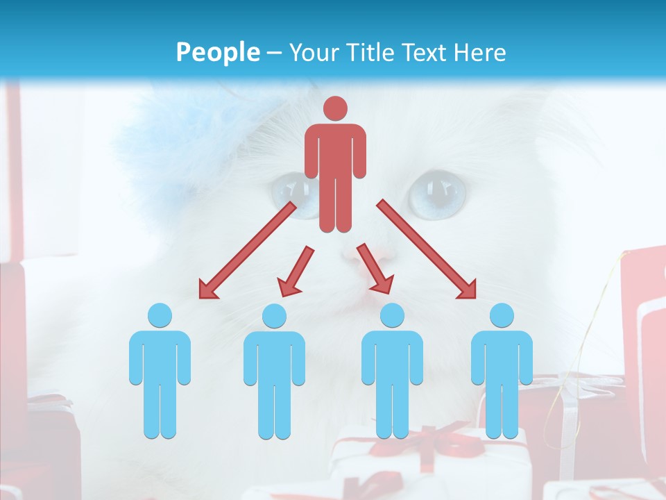 Fun Feline Cat PowerPoint Template