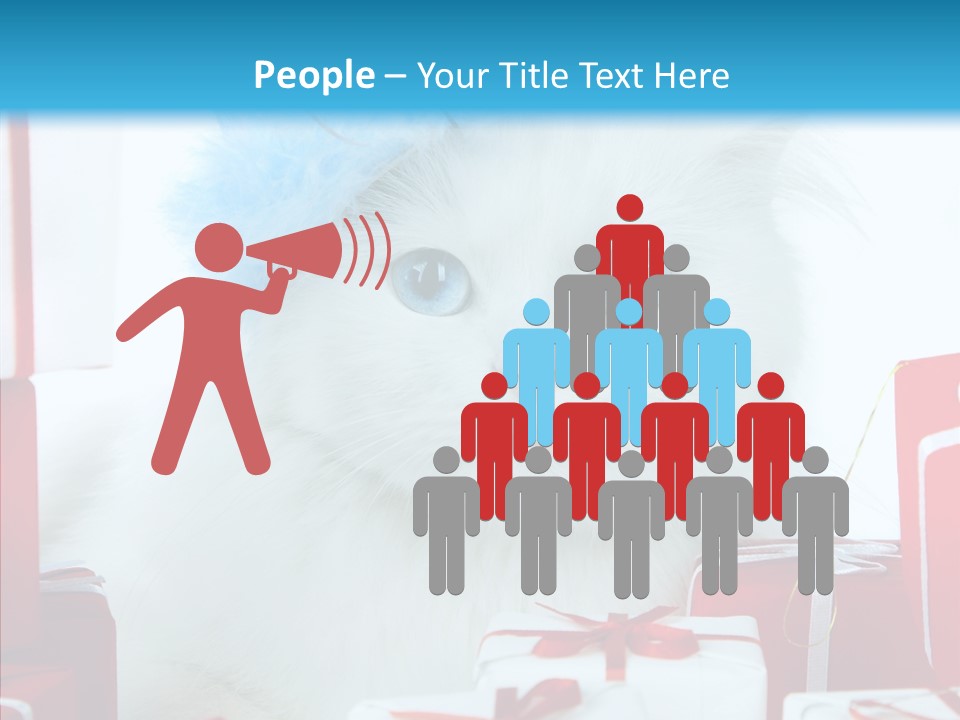 Fun Feline Cat PowerPoint Template