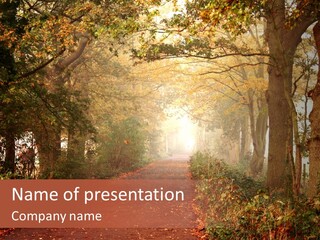 Peace Brown New PowerPoint Template