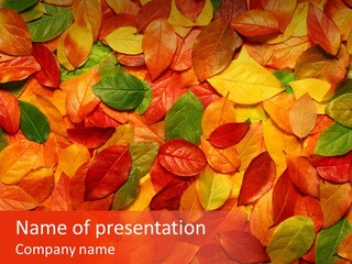 Changes Stem Top PowerPoint Template