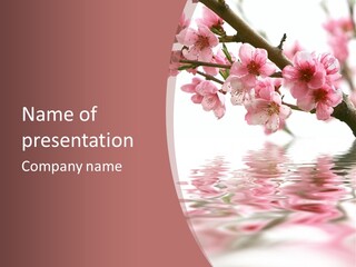 Garden Design Fresh PowerPoint Template