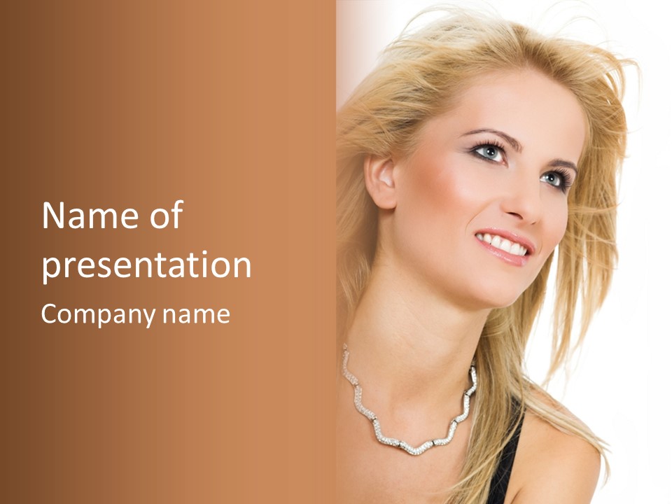 Profe Ional Meeting Corporate PowerPoint Template