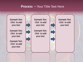 Asian Gourmet Celebration PowerPoint Template