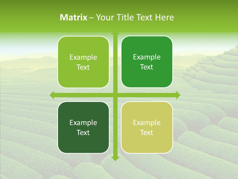Boardroom Happy Corporation PowerPoint Template