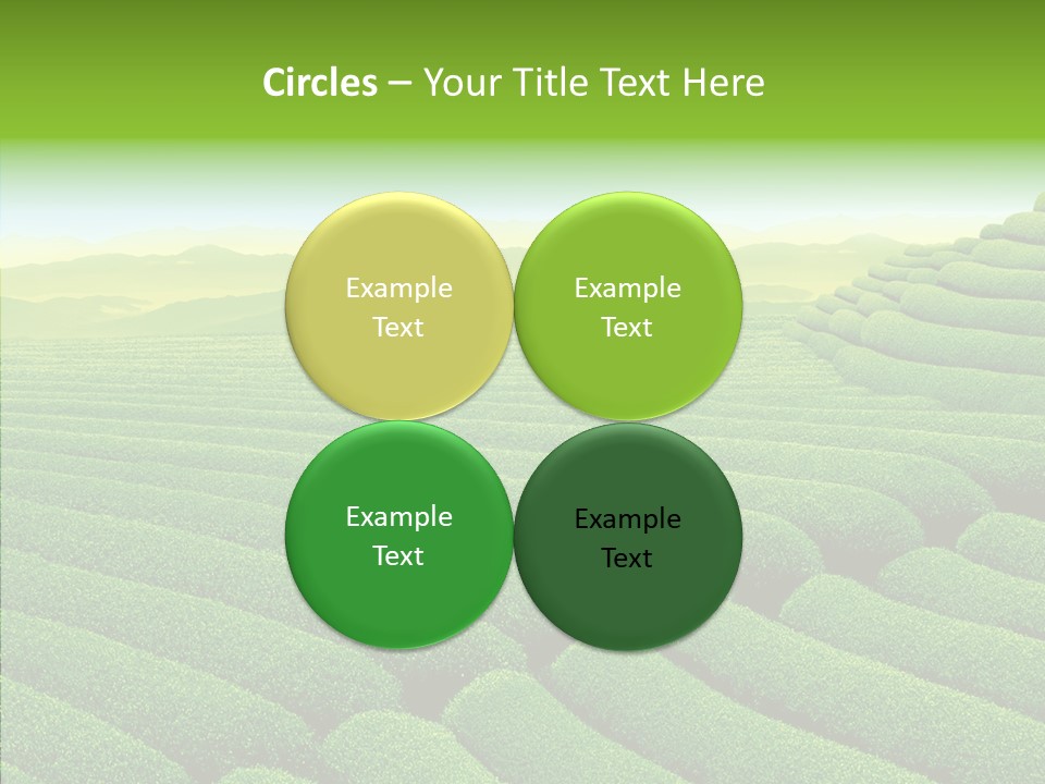 Boardroom Happy Corporation PowerPoint Template