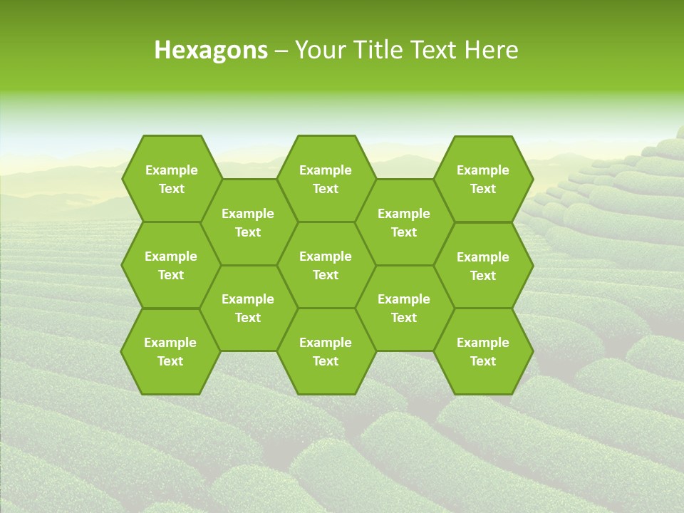 Boardroom Happy Corporation PowerPoint Template