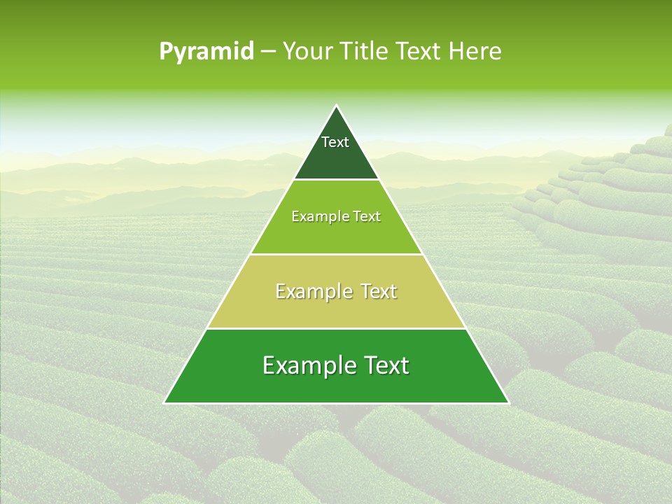 Boardroom Happy Corporation PowerPoint Template