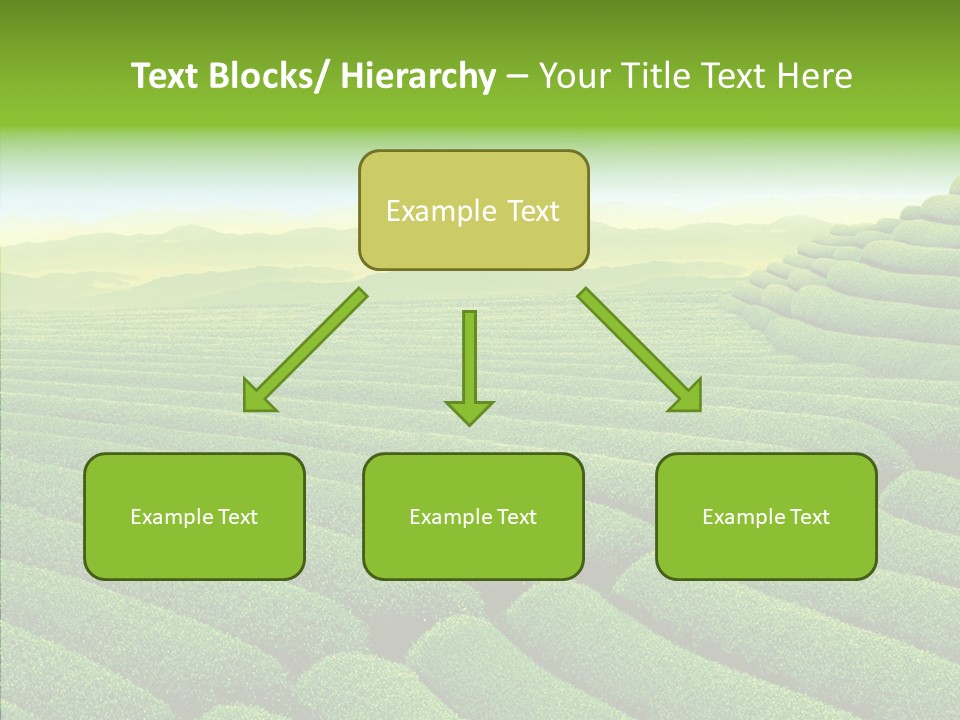 Boardroom Happy Corporation PowerPoint Template