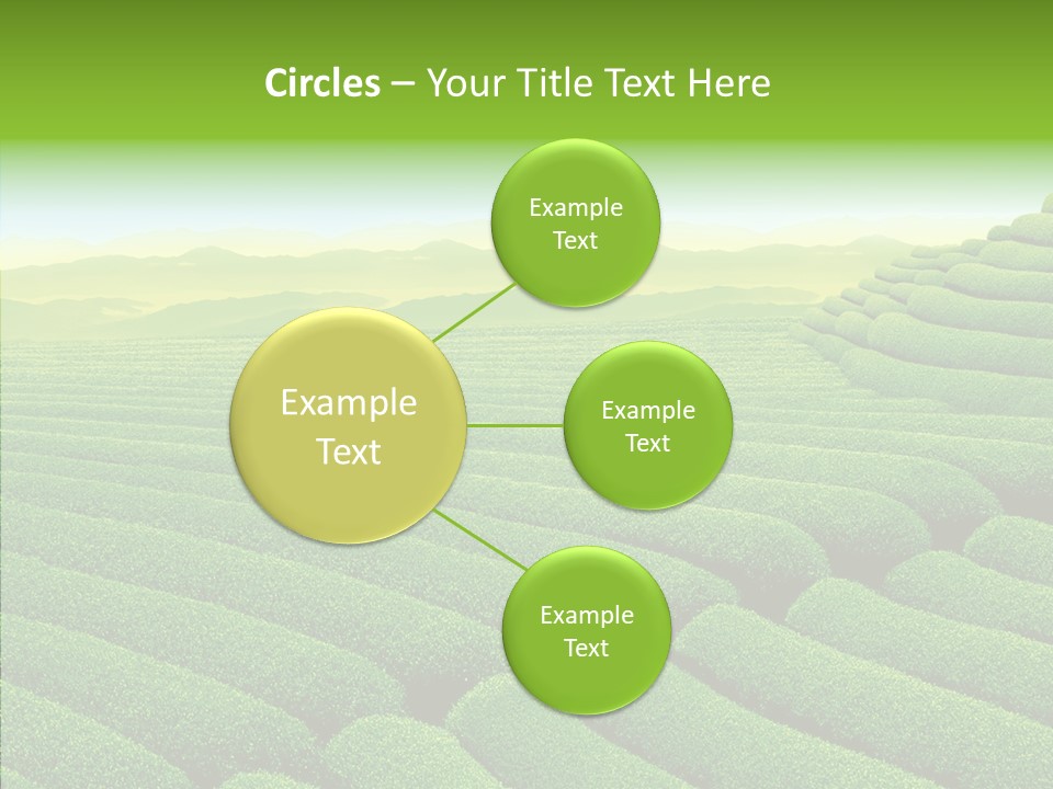 Boardroom Happy Corporation PowerPoint Template