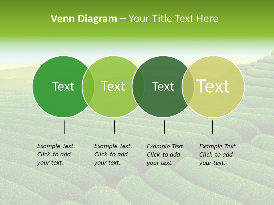 Boardroom Happy Corporation PowerPoint Template