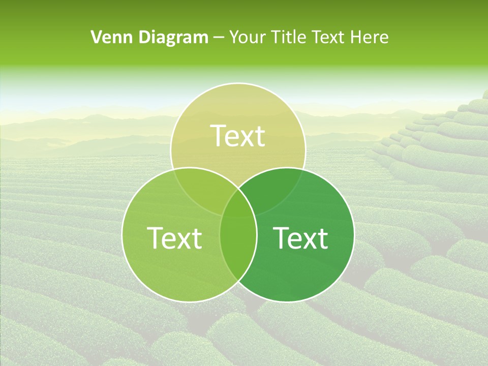 Boardroom Happy Corporation PowerPoint Template