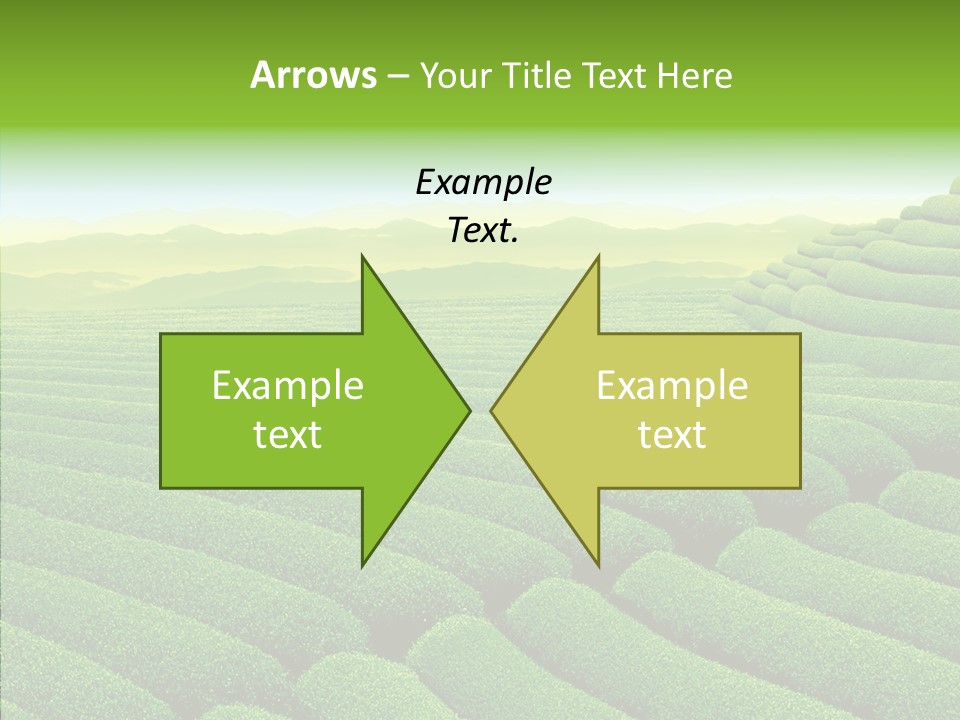 Boardroom Happy Corporation PowerPoint Template