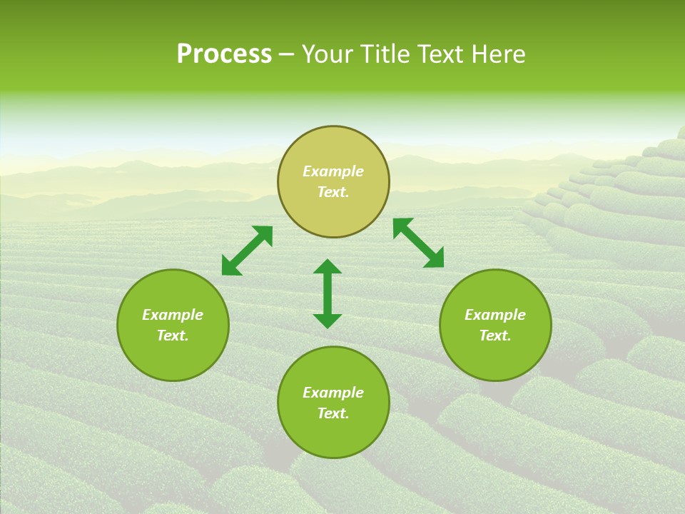 Boardroom Happy Corporation PowerPoint Template