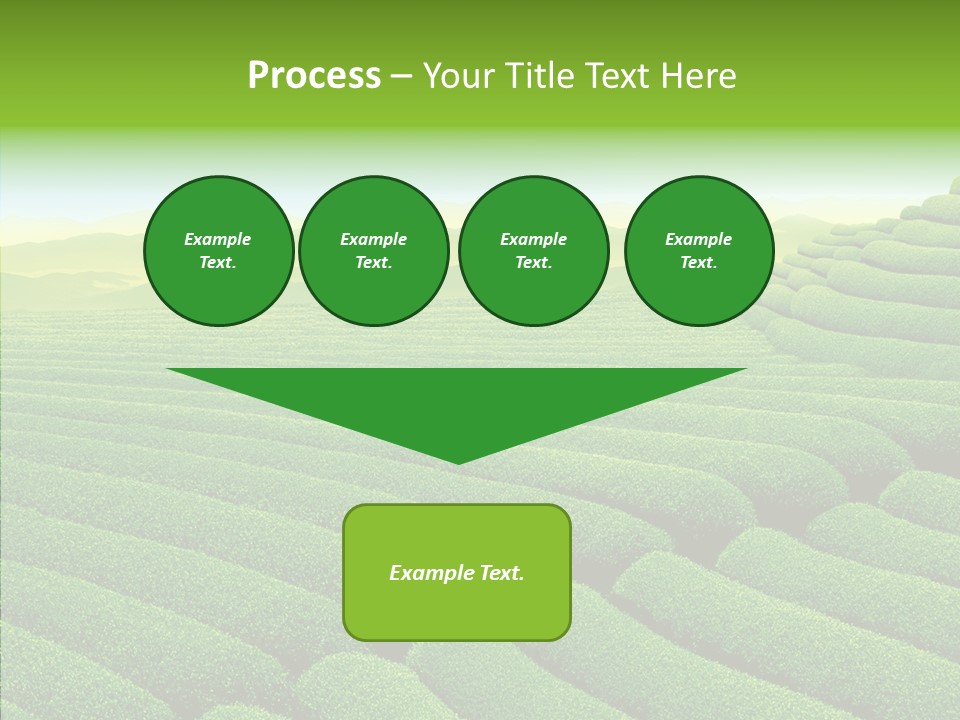 Boardroom Happy Corporation PowerPoint Template