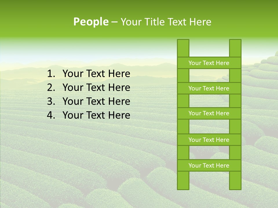 Boardroom Happy Corporation PowerPoint Template