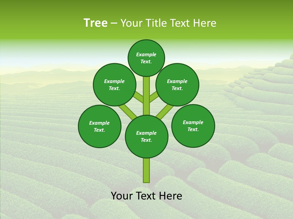 Boardroom Happy Corporation PowerPoint Template
