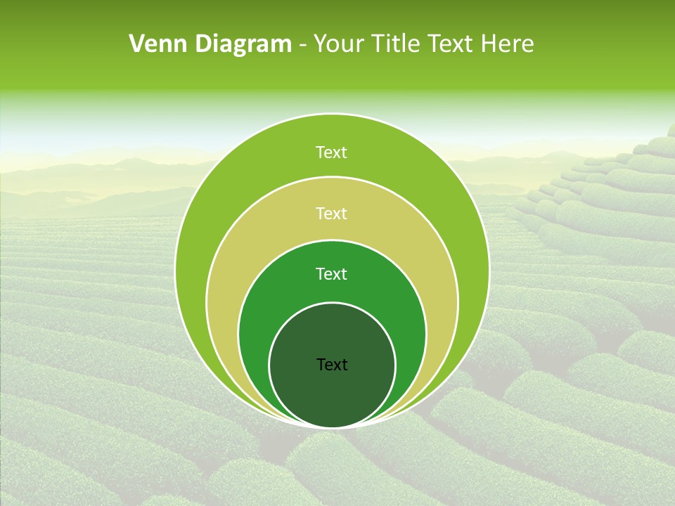 Boardroom Happy Corporation PowerPoint Template
