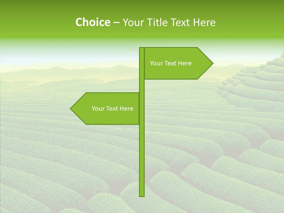 Boardroom Happy Corporation PowerPoint Template