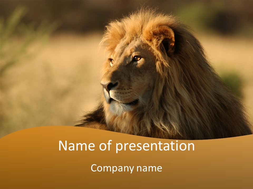 Wildlife Sunny Predatory PowerPoint Template