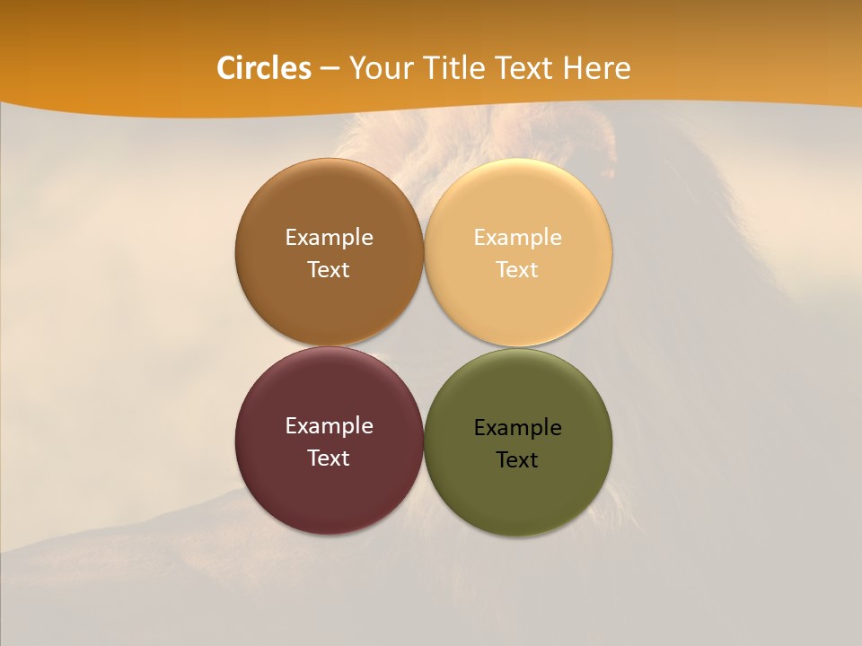 Wildlife Sunny Predatory PowerPoint Template