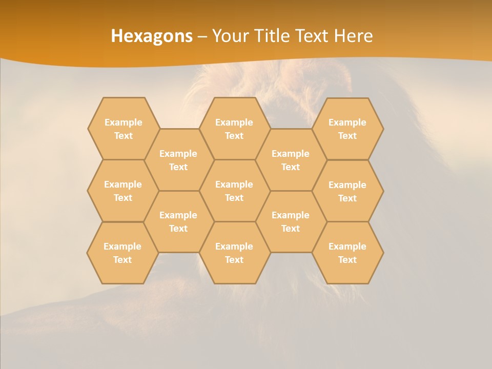 Wildlife Sunny Predatory PowerPoint Template