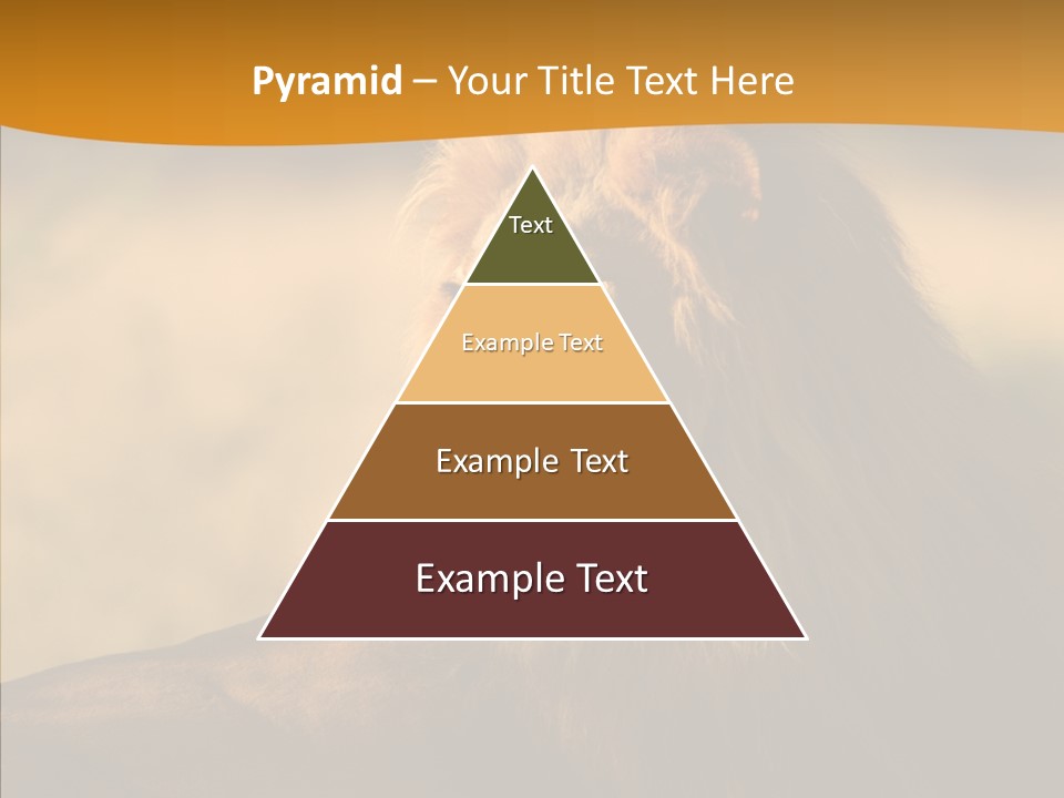 Wildlife Sunny Predatory PowerPoint Template
