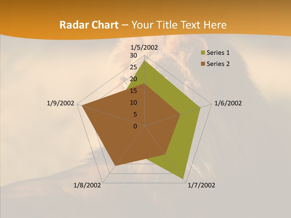 Wildlife Sunny Predatory PowerPoint Template