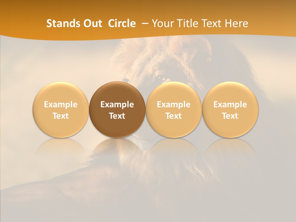 Wildlife Sunny Predatory PowerPoint Template