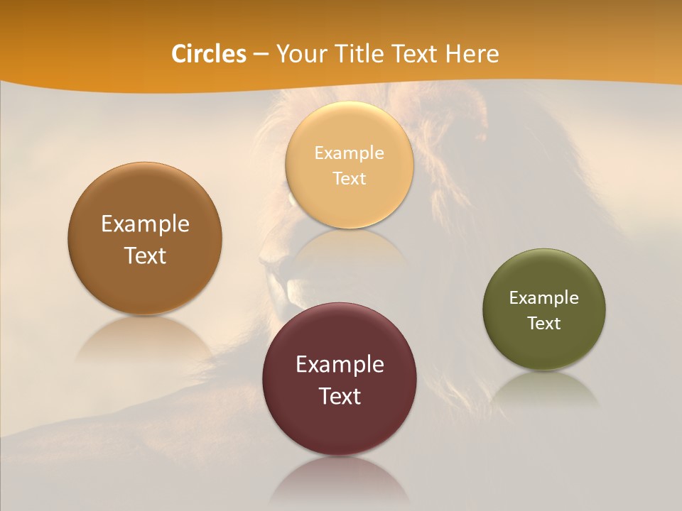 Wildlife Sunny Predatory PowerPoint Template