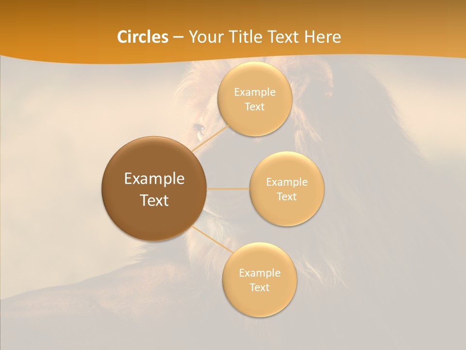 Wildlife Sunny Predatory PowerPoint Template
