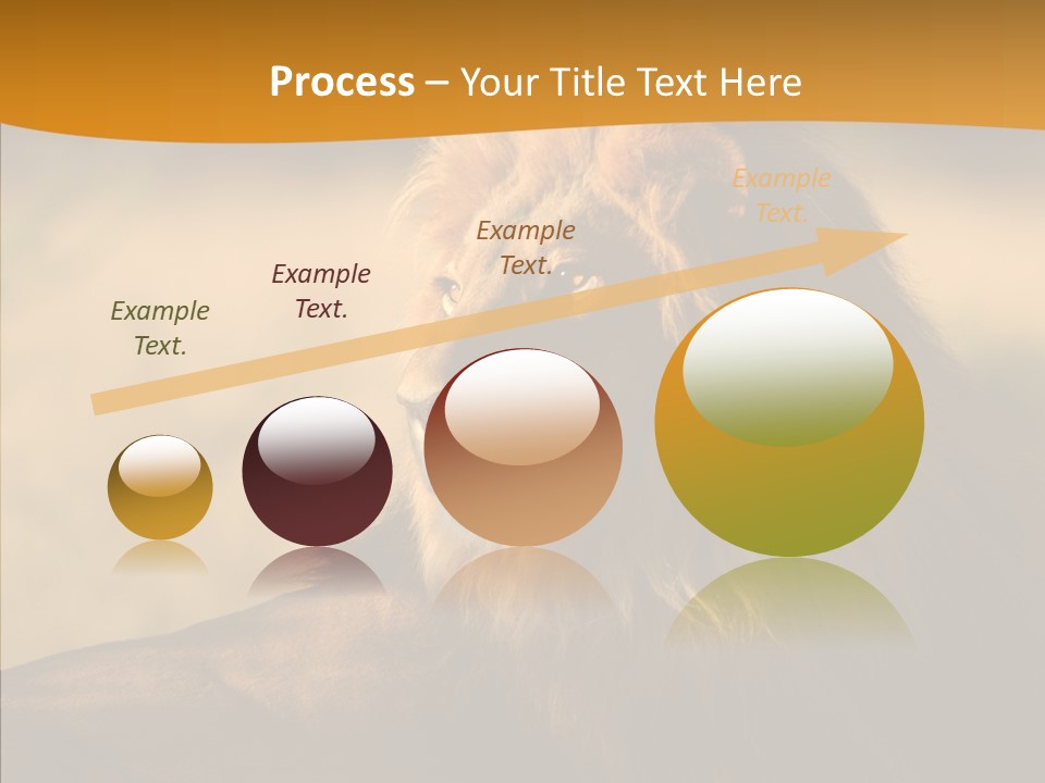Wildlife Sunny Predatory PowerPoint Template