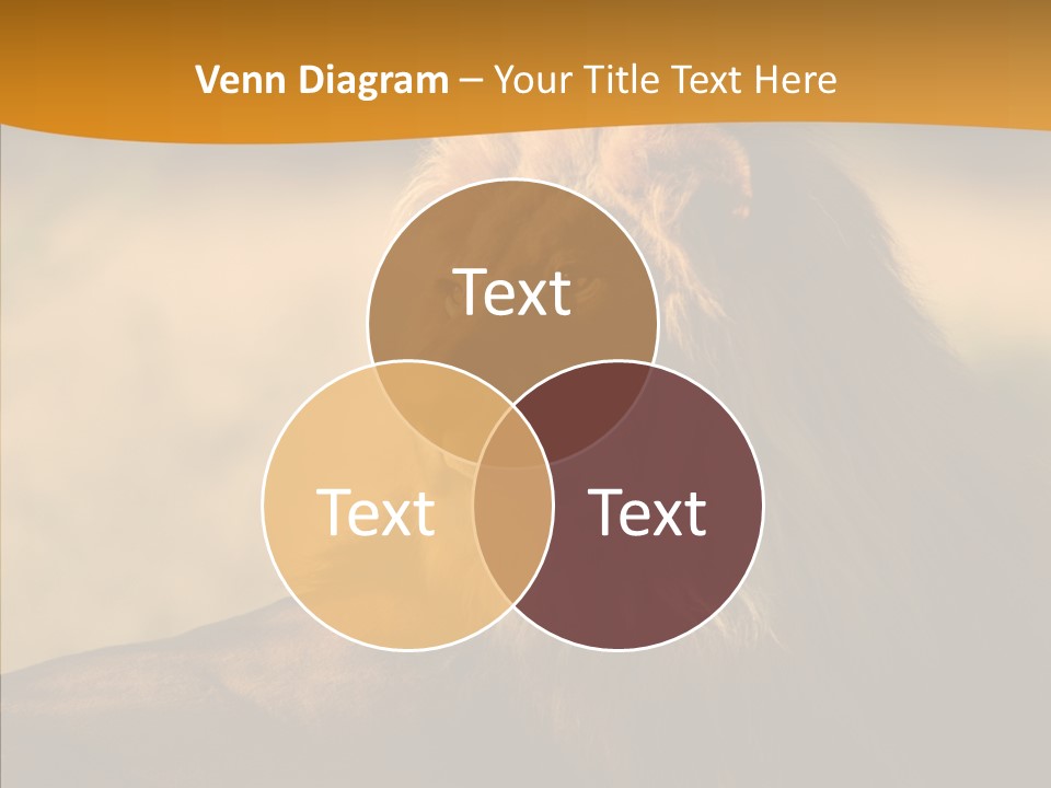 Wildlife Sunny Predatory PowerPoint Template