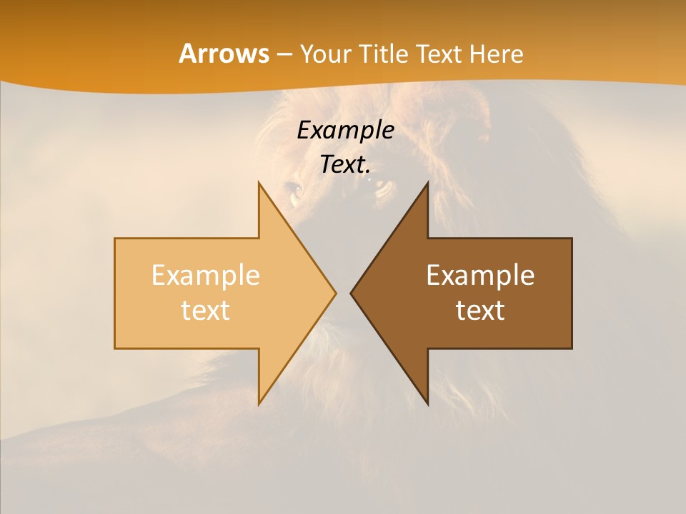 Wildlife Sunny Predatory PowerPoint Template