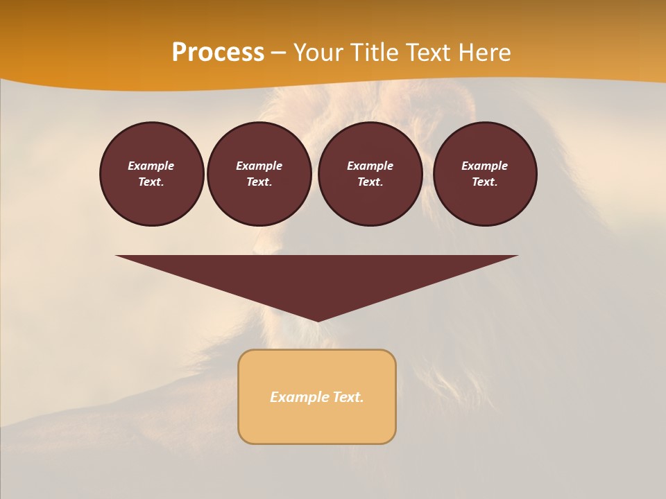 Wildlife Sunny Predatory PowerPoint Template