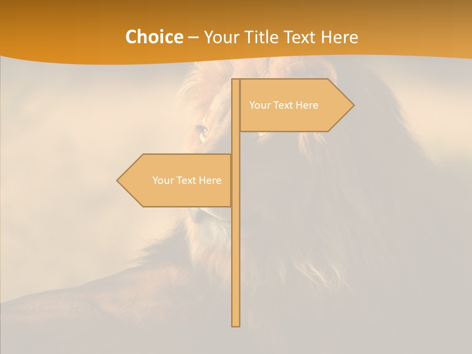 Wildlife Sunny Predatory PowerPoint Template