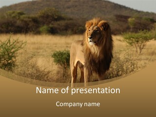 Environment Safari Backcountry PowerPoint Template
