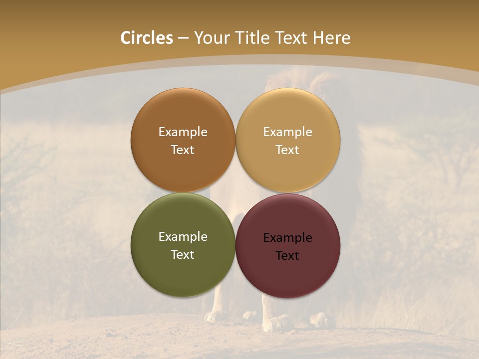 Environment Safari Backcountry PowerPoint Template