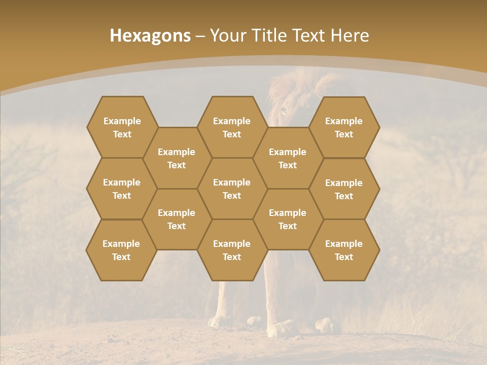 Environment Safari Backcountry PowerPoint Template