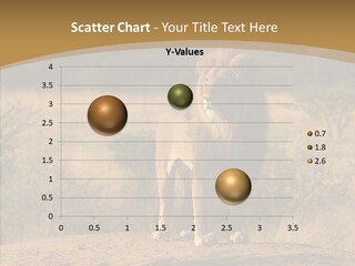 Environment Safari Backcountry PowerPoint Template