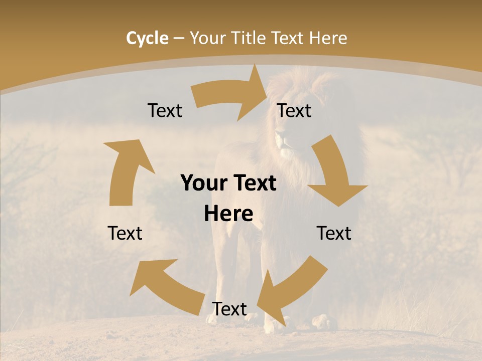 Environment Safari Backcountry PowerPoint Template
