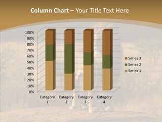 Environment Safari Backcountry PowerPoint Template