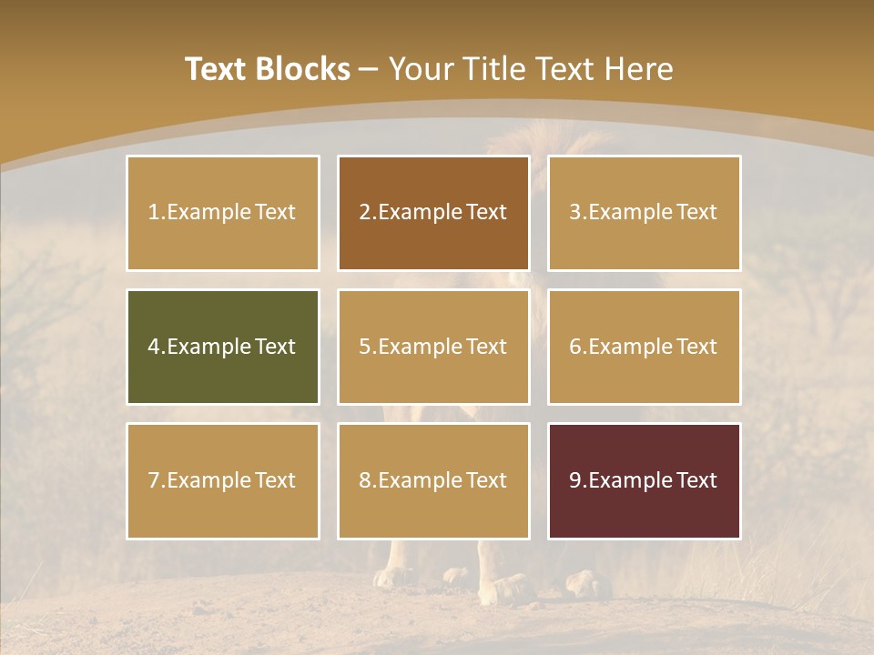 Environment Safari Backcountry PowerPoint Template