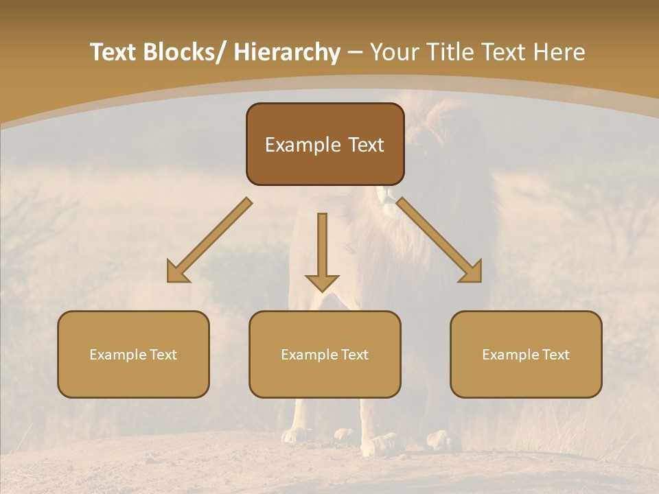Environment Safari Backcountry PowerPoint Template