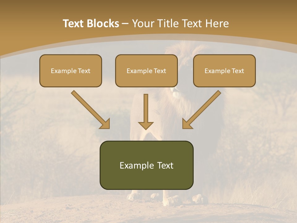 Environment Safari Backcountry PowerPoint Template