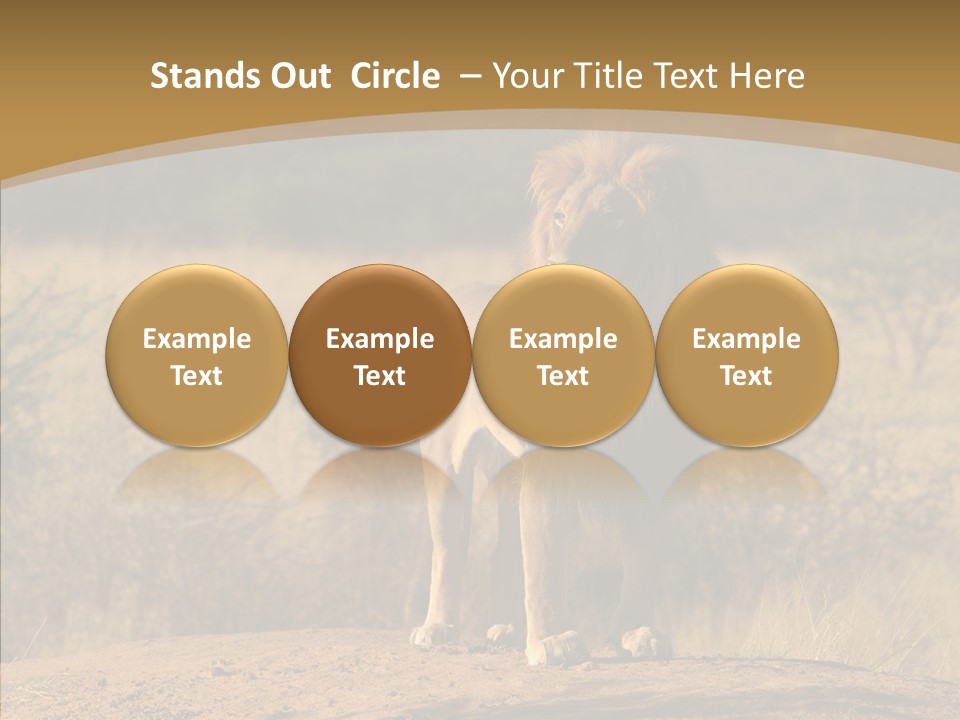 Environment Safari Backcountry PowerPoint Template