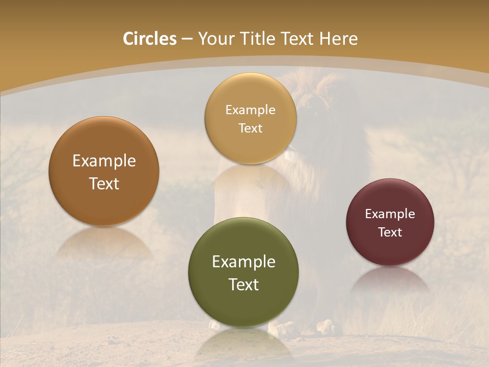 Environment Safari Backcountry PowerPoint Template