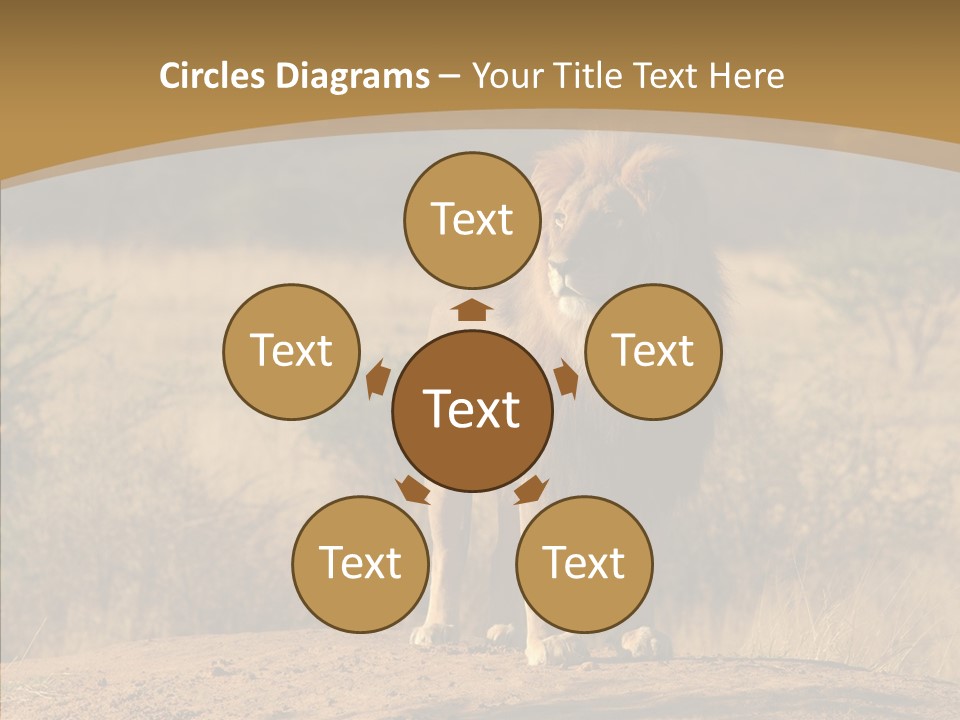 Environment Safari Backcountry PowerPoint Template